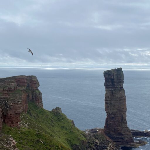 Birding, Climbing and island dreaming